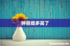 钟丽缇多高了