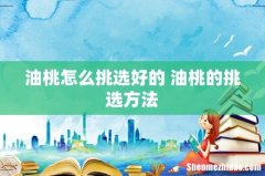 油桃怎么挑选好的 油桃的挑选方法