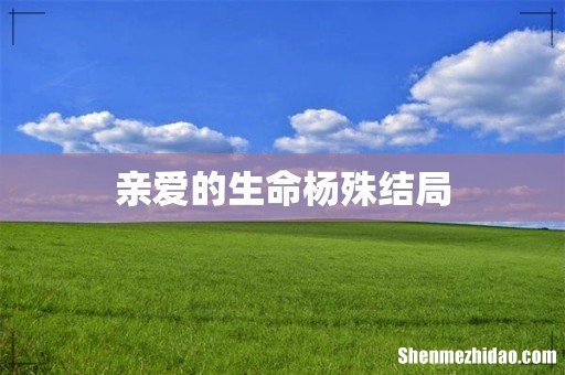 亲爱的生命杨殊结局
