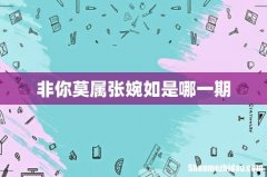非你莫属张婉如是哪一期