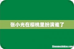 张小光在樱桃里扮演谁了