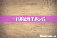 一升芬达等于多少斤