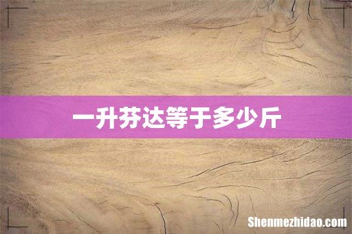 一升芬达等于多少斤