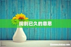 阔别已久的意思