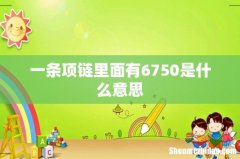 一条项链里面有6750是什么意思