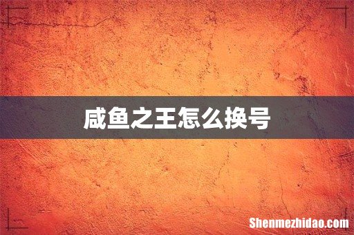 咸鱼之王怎么换号