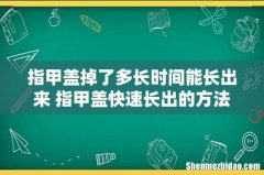 指甲盖掉了多长时间能长出来 指甲盖快速长出的方法