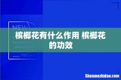 槟榔花有什么作用 槟榔花的功效