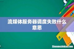 流媒体服务器调度失败什么意思
