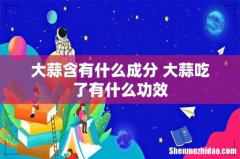 大蒜含有什么成分 大蒜吃了有什么功效