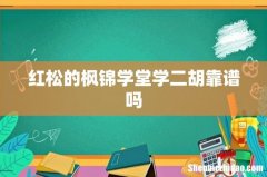 红松的枫锦学堂学二胡靠谱吗