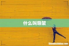 什么叫导架