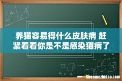 养猫容易得什么皮肤病 赶紧看看你是不是感染猫病了！