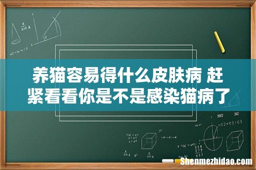 养猫容易得什么皮肤病 赶紧看看你是不是感染猫病了！