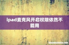 ipad麦克风开启权限依然不能用