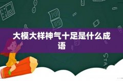 大模大样神气十足是什么成语