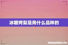 冰糖烤梨是用什么品种的