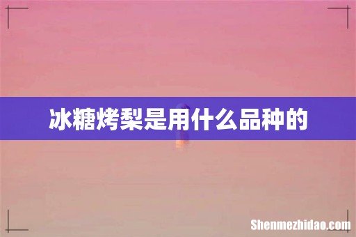 冰糖烤梨是用什么品种的