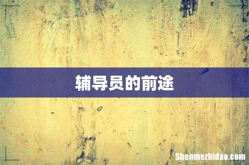辅导员的前途