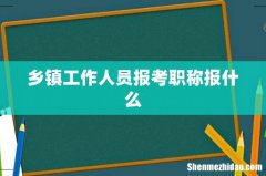 乡镇工作人员报考职称报什么