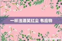 一杯浊酒笑红尘 韦应物