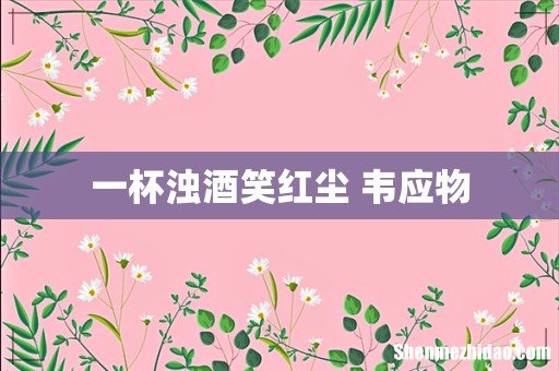 一杯浊酒笑红尘 韦应物