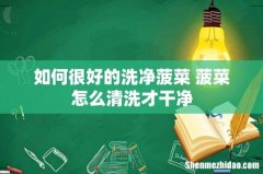 如何很好的洗净菠菜 菠菜怎么清洗才干净