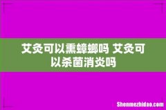 艾灸可以熏蟑螂吗 艾灸可以杀菌消炎吗