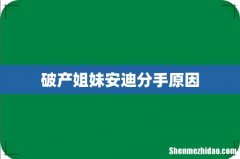 破产姐妹安迪分手原因