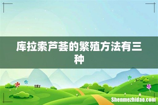 库拉索芦荟的繁殖方法有三种