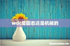 wdc是固态还是机械的