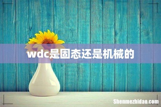 wdc是固态还是机械的