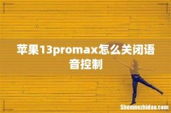 苹果13promax怎么关闭语音控制