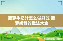 菠萝牛奶汁怎么做好吃 菠萝奶昔的做法大全