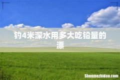 钓4米深水用多大吃铅量的漂