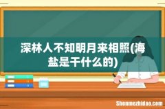 海盐是干什么的 深林人不知明月来相照