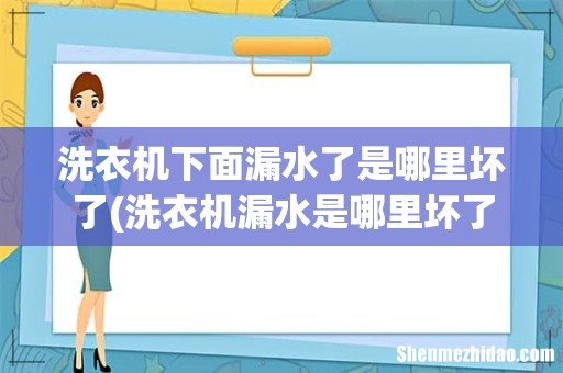 洗衣机漏水是哪里坏了 洗衣机下面漏水了是哪里坏了