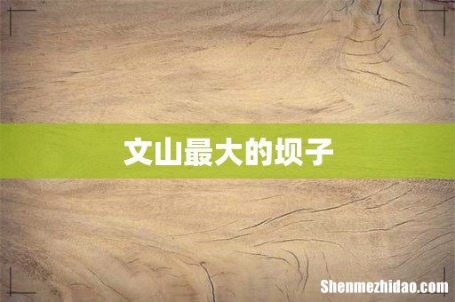 文山最大的坝子