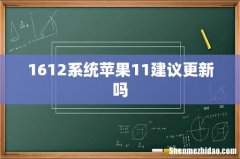 1612系统苹果11建议更新吗