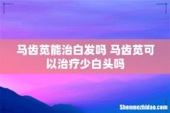 马齿苋能治白发吗 马齿苋可以治疗少白头吗