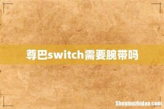 尊巴switch需要腕带吗
