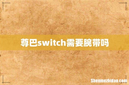 尊巴switch需要腕带吗