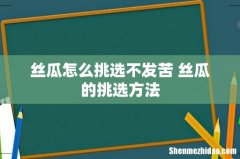丝瓜怎么挑选不发苦 丝瓜的挑选方法