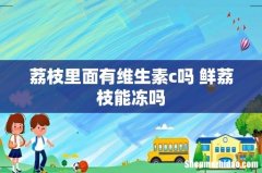 荔枝里面有维生素c吗 鲜荔枝能冻吗