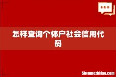 怎样查询个体户社会信用代码