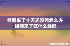 经期来了十天还没完怎么办 经期来了吃什么最好