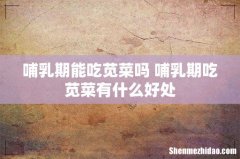 哺乳期能吃苋菜吗 哺乳期吃苋菜有什么好处
