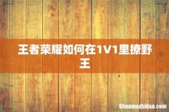 王者荣耀如何在1V1里撩野王