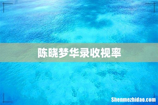陈晓梦华录收视率