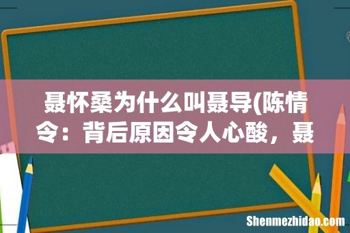 陈情令:背后原因令人心酸,聂怀桑为何被称为聂导? 聂怀桑为什么叫聂导
